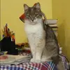 Отзыв от Алиса Зотова